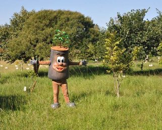Programação especial comemora os 30 anos do Verde é Vida
